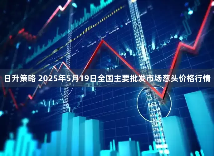 日升策略 2025年5月19日全国主要批发市场葱头价格行情