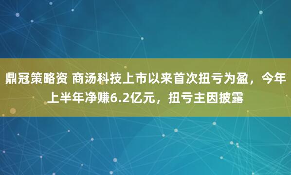 鼎冠策略资 商汤科技上市以来首次扭亏为盈,今年上半年净赚6.2亿元,扭亏主因披露